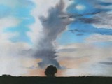 L'ALBERO SOLITARIO 2000 Pastello su carta Fabriano Tiepolo cm 100x70